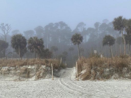 Hilton Head
