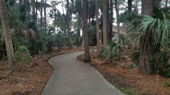 Hunting Island